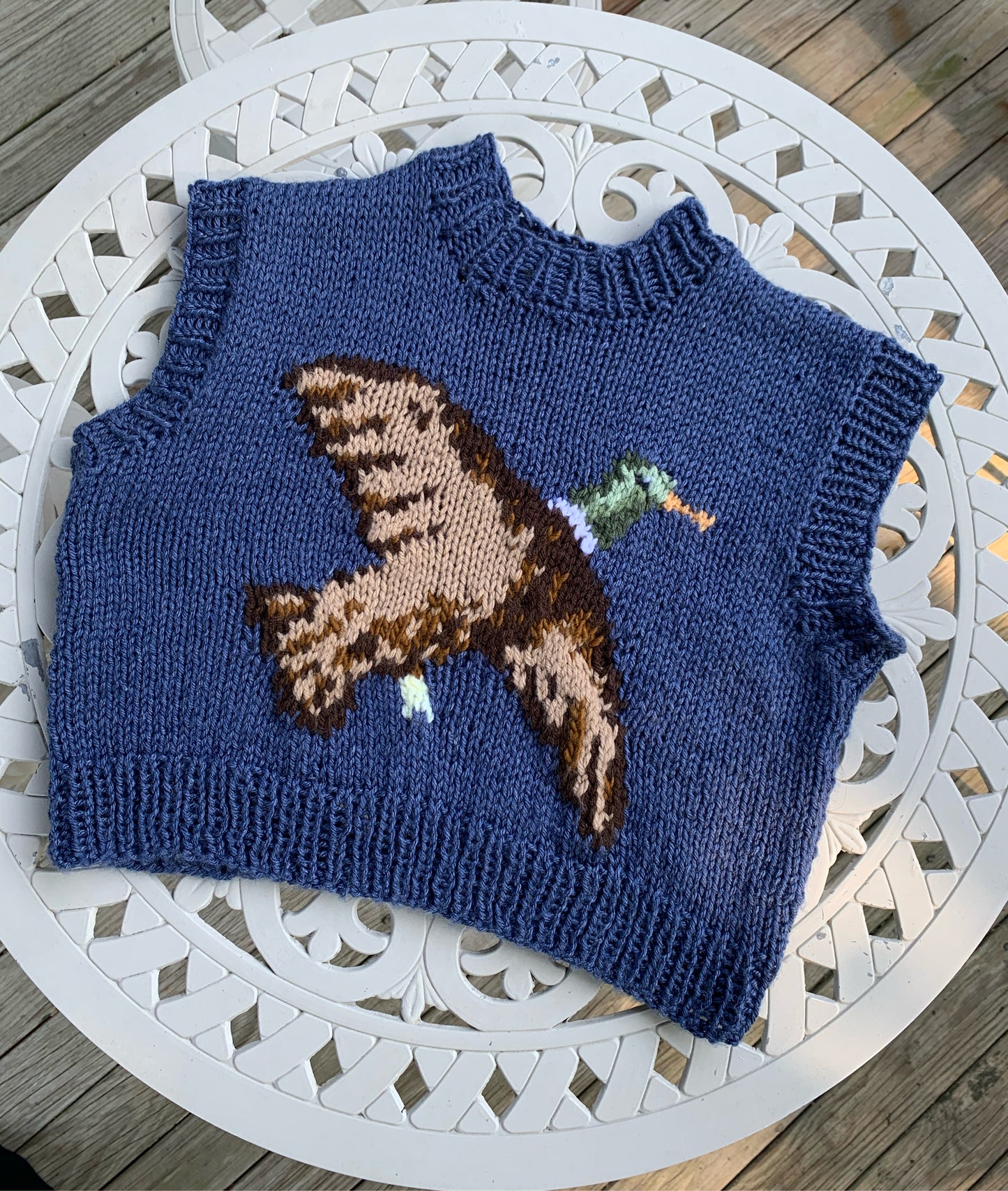 pattern: duck sweater (knit)