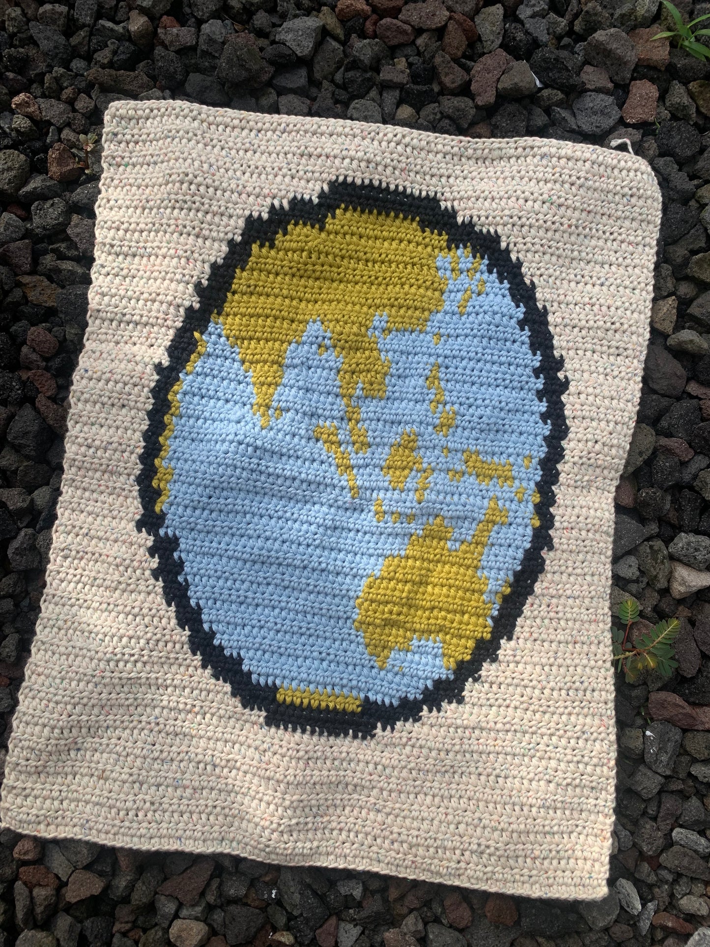 pattern: stop f*cking up the earth tote