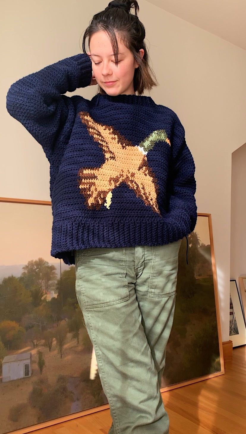 pattern: duck sweater (crochet)